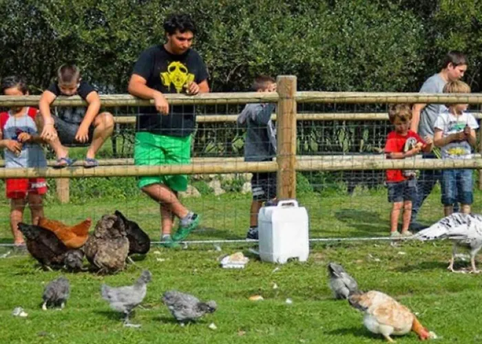 Mobil 6 Pers. Avec Terrasse A Sainte-marie-du-mont - Api-1-52-1295 圣玛丽-迪蒙