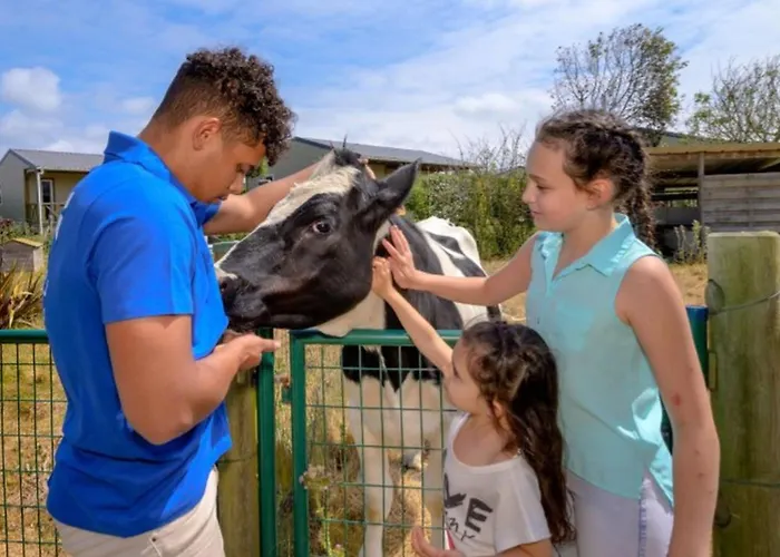 营地 Mobil 6 Pers. Avec Terrasse A Sainte-marie-du-mont - Api-1-52-1295