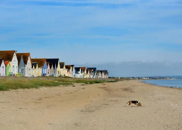 Mobil 6 Pers. Avec Terrasse A Sainte-marie-du-mont - Api-1-52-1295 圣玛丽-迪蒙